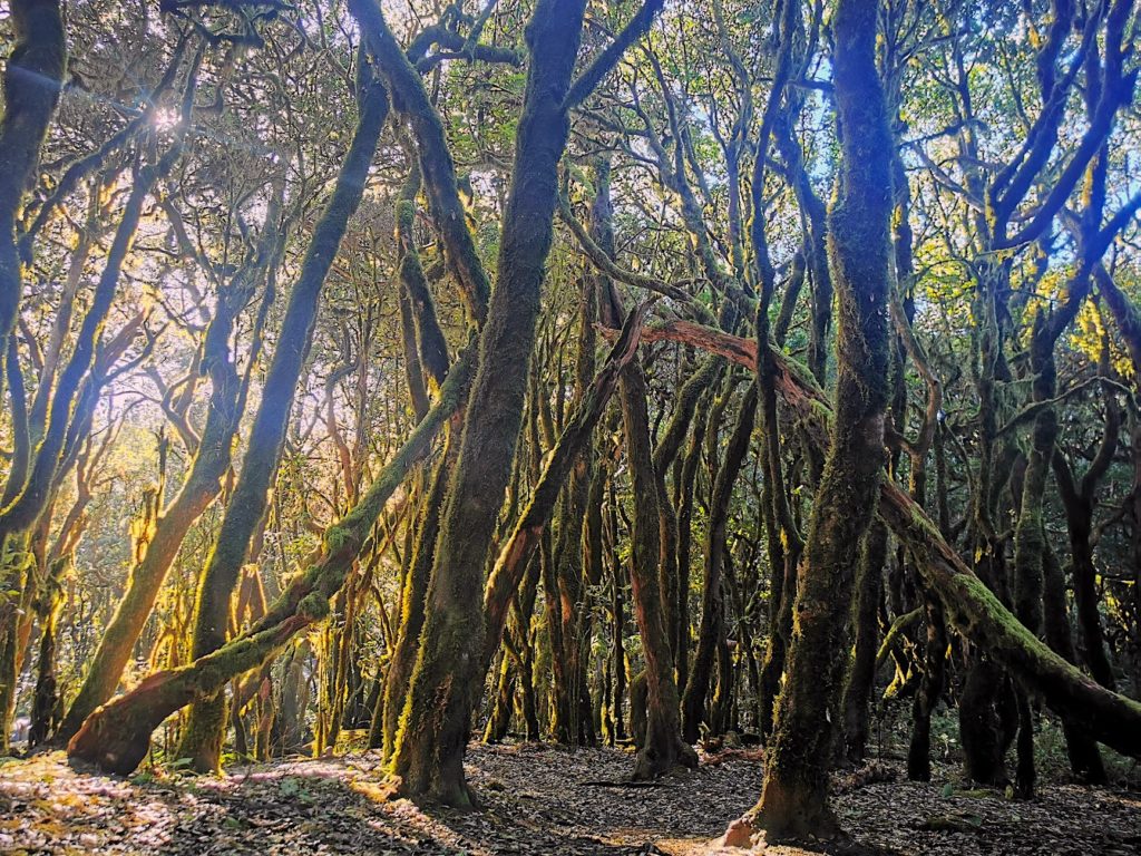 La-Gomera-The-Magical-Island 